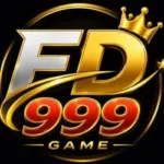 FD999 Game